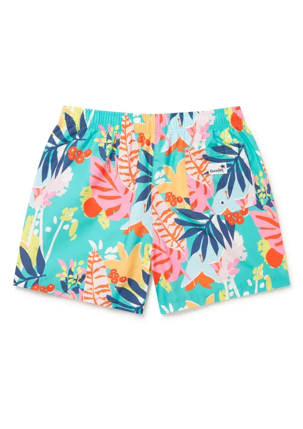 Online Miami Green Swimwear
